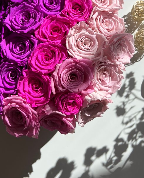 Everlasting-roser i forskjellige rosa toner
